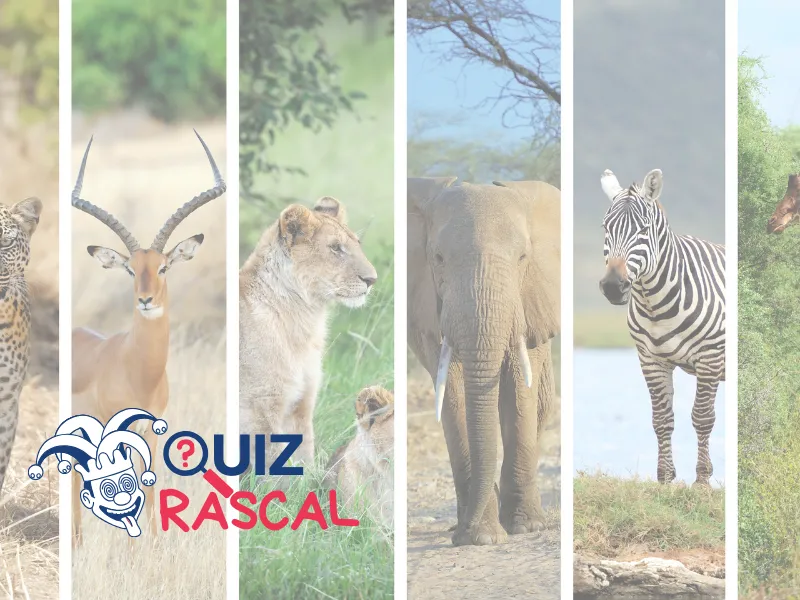 Animals Quiz 1 Quiz Rascal