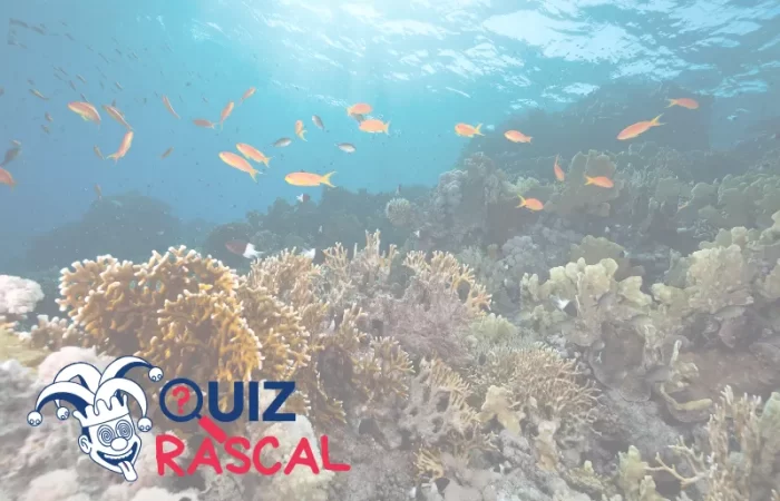 oceans quiz